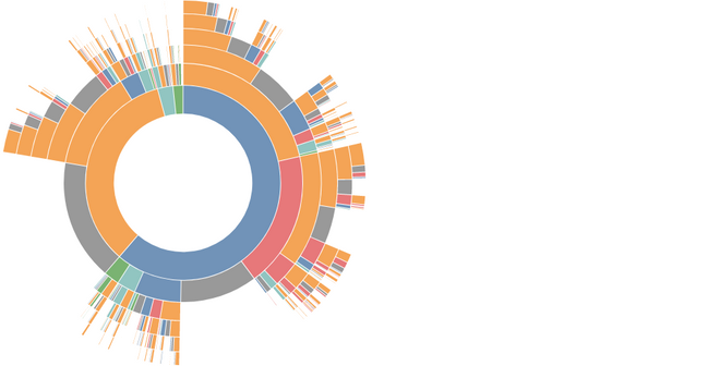 Sunburst diagram